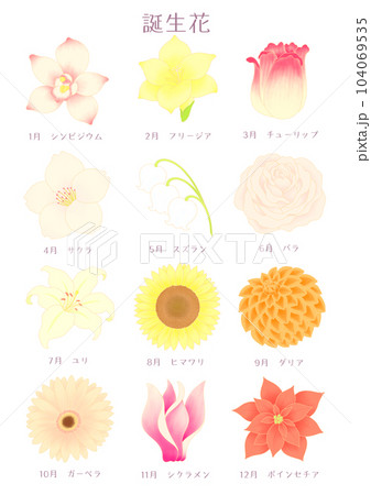 誕生月のお花たち 誕生花アイコンのイラスト素材 [104069535] - PIXTA