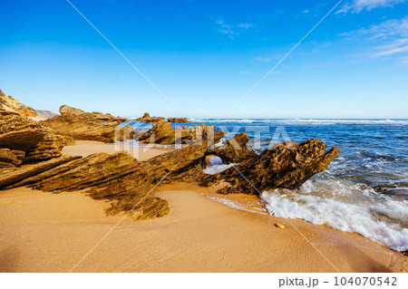 Fingal Beach in Mornington Peninsula Australia 104070542