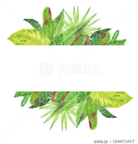 Hand drawn watercolor green tropical leaves boarder frame isolated on white background. Can be used for post card, label, banner design. 104071057