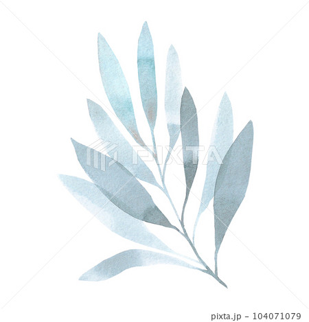 Hand drawn watercolor blue leaves. Isolated on white. Can be used for cards, patterns, invitations, label. Hand drawn watercolor blue leaves. Isolated on white. Can be used for cards, patterns, invitations, label. 104071079