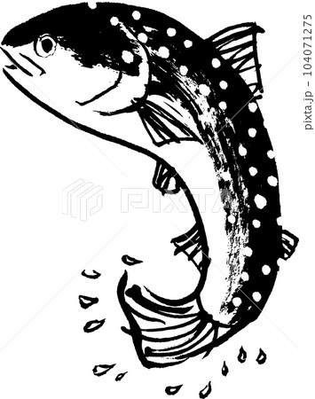 いわな　岩魚　水彩画　水墨画 104071275