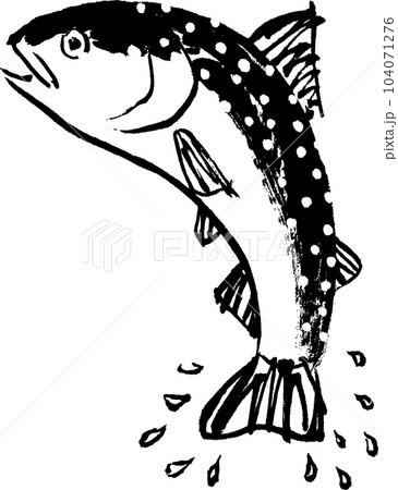 いわな 岩魚 水彩画 水墨画 いわな 岩魚 水彩画 水墨画 104071276