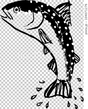 いわな 岩魚 水彩画 水墨画 いわな 岩魚 水彩画 水墨画 104071276