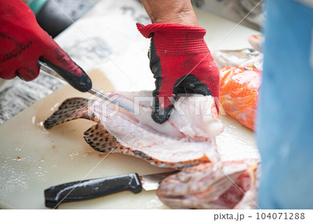 魚をさばく人 魚をさばく人 104071288