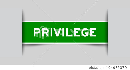 Green color square label sticker with word privilege that inserted in gray background 104072070