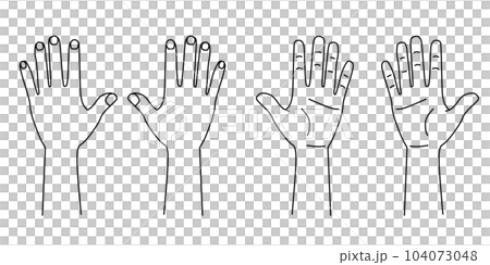 Illustration line drawing of the back of the palm of the hand | Can be used for medical records such as medical charts Illustration line drawing of the back of the palm of the hand | Can be used for medical records such as medical charts 104073048