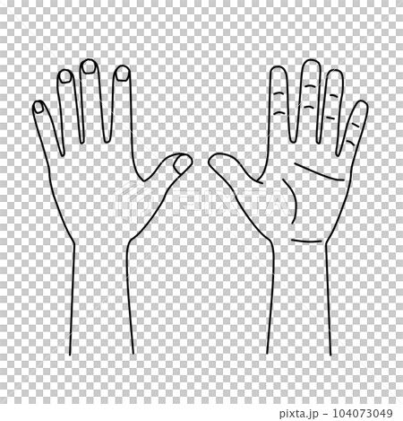 Illustration line drawing of the front and back of the left hand | Can be used for medical records such as charts Illustration line drawing of the front and back of the left hand | Can be used for medical records such as charts 104073049