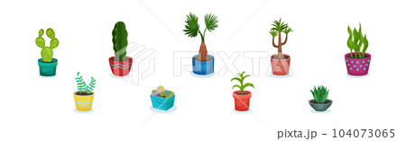 Potted House Plant and Growing Botany as Home Decor Vector Set Potted House Plant and Growing Botany as Home Decor Vector Set 104073065