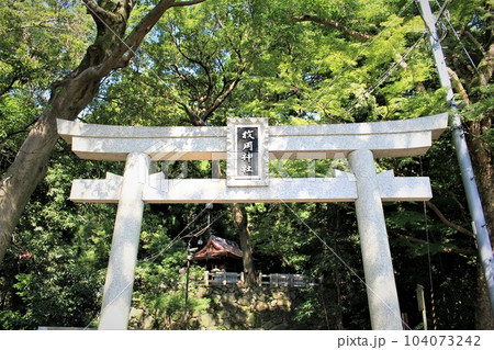 枚岡神社 104073242