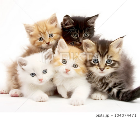 5匹の子猫のイラスト素材 [104074471] - PIXTA