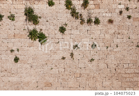Old brown stone wall background 104075023