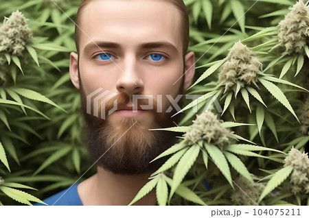 A young bearded man standing in the hemp field of plants. Generative Ai A young bearded man standing in the hemp field of plants. Generative Ai 104075211