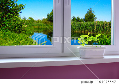 young plants on the window sill of window overlooking the lake young plants on the window sill of window overlooking the lake 104075347