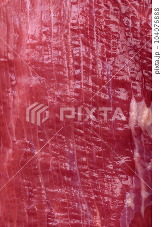 Juicy raw beef with spices, salt and herbs on a dark concrete background 104076888