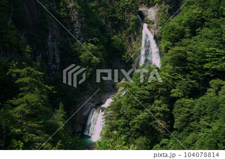 不動七重滝 不動七重の滝(奈良県吉野郡下北山村 前鬼)Fudo Nanae Water Falls 不動七重滝 不動七重の滝(奈良県吉野郡下北山村 前鬼)Fudo Nanae Water Falls 104078814