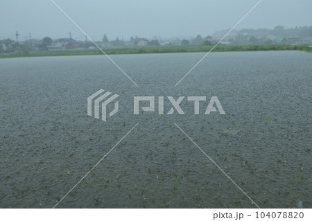 北杜市白州町、田植えの済んだ水田に降る雨、煙る街並み 北杜市白州町、田植えの済んだ水田に降る雨、煙る街並み 104078820