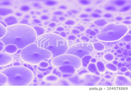 plant cells 104078869