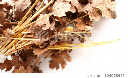 The badnjak veseljak is a tree branch or entire tree that is central to Serbian Christmas celebrations. It is placed on a fire on Christmas Eve and its branches are later brought home by worshipers 104078993