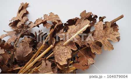 The badnjak veseljak is a tree branch or entire tree that is central to Serbian Christmas celebrations. It is placed on a fire on Christmas Eve and its branches are later brought home by worshipers 104079004