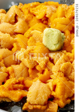 北海道の美味しいウニ料理 北海道の美味しいウニ料理 104079158