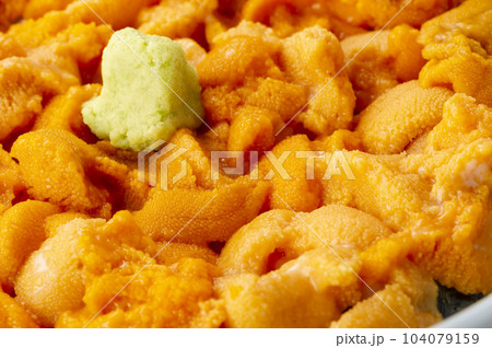 北海道の美味しいウニ料理 北海道の美味しいウニ料理 104079159