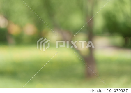 Bokeh background of garden in summer Bokeh background of garden in summer 104079327