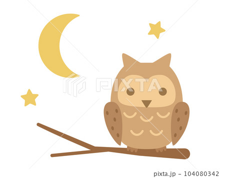 枝にとまるフクロウのイラスト 枝にとまるフクロウのイラスト 104080342