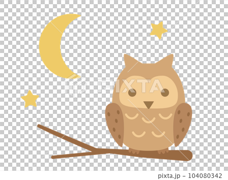 枝にとまるフクロウのイラスト 枝にとまるフクロウのイラスト 104080342