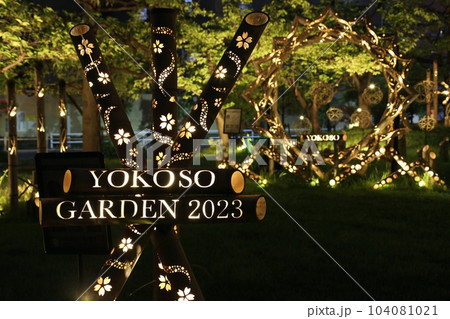 竹あかりのイルミネーションライトアップ2023 104081021
