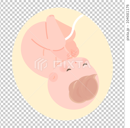 嬰兒在子宮中用臍帶的圖像插圖 104081176