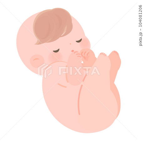 裸の赤ちゃん　新生児　胎児 104081206