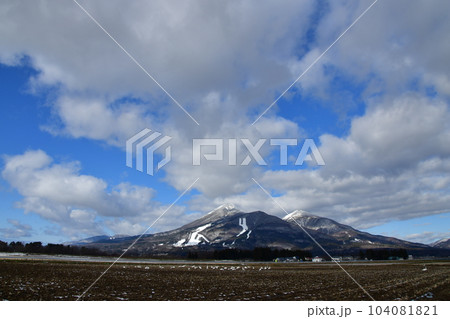 猪苗代湖の白鳥 104081821