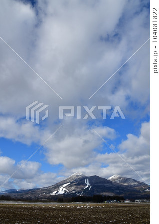 猪苗代湖の白鳥 104081822