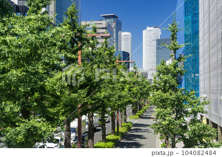 名古屋中区 都市風景 桜通の銀杏並木と名古屋駅ビル群 日銀前交差点歩道橋からの眺望 名古屋中区 都市風景 桜通の銀杏並木と名古屋駅ビル群 日銀前交差点歩道橋からの眺望 104082484