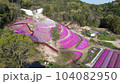 東かがわ市　芝桜富士 (香川県) 104082950