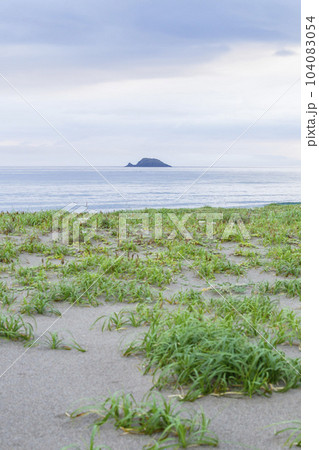 くじら島のある風景 鳥取県 鳥取砂丘 104083054