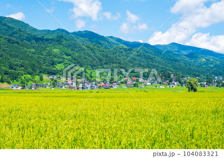 夏の田園風景(8月) 夏の田園風景(8月) 104083321