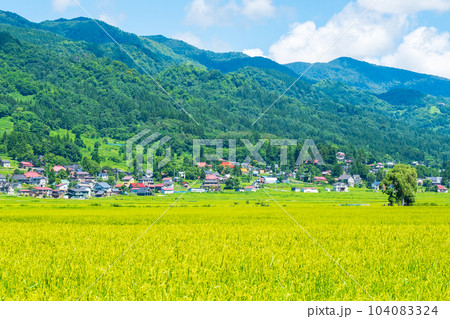 夏の田園風景(8月) 夏の田園風景(8月) 104083324