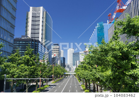 名古屋中区　都市風景　桜通の銀杏並木と名古屋駅ビル群   日銀前交差点歩道橋からの眺望 104083462