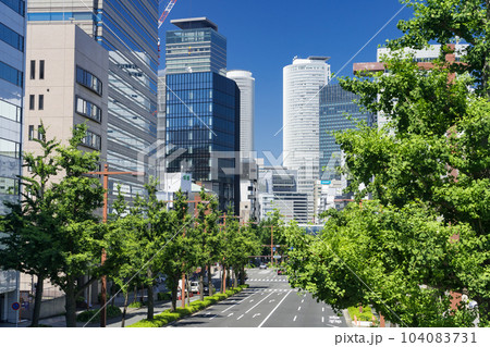 名古屋中区 都市風景 桜通の銀杏並木と名古屋駅ビル群 ニュータス 丸の内歩道橋から 名古屋中区 都市風景 桜通の銀杏並木と名古屋駅ビル群 ニュータス 丸の内歩道橋から 104083731
