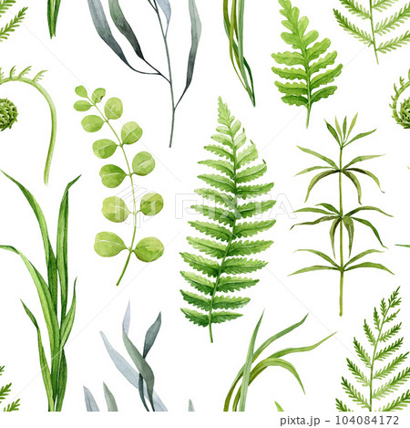 Forest greenery seamless pattern. Watercolor illustration. Hand drawn forest nature decor. Fern, grass, forest herbs, plants, leaves seamless pattern. Lush natural greenery decor. White background 104084172