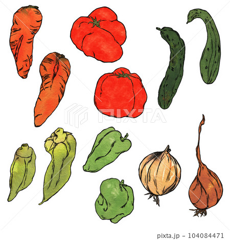 不揃い野菜のイラスト素材セット 104084471