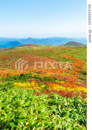 秋の栗駒山登山（産沼コース） 104084556