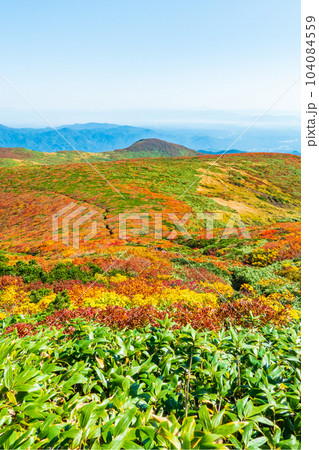 秋の栗駒山登山（産沼コース） 104084559