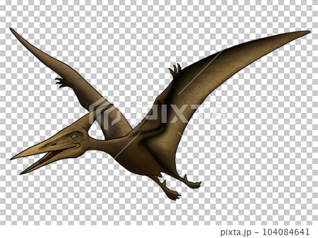 プテラノドン 104084641