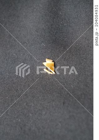 純金の欠片 104084931