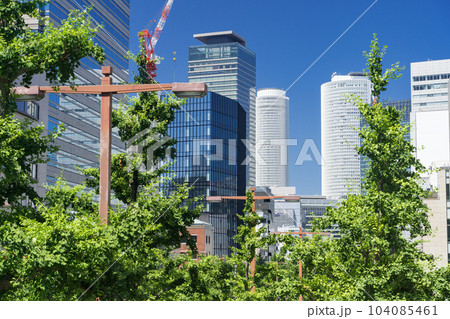 名古屋中区 都市風景 桜通の銀杏並木と名古屋駅ビル群 ニュータス 丸の内歩道橋から 名古屋中区 都市風景 桜通の銀杏並木と名古屋駅ビル群 ニュータス 丸の内歩道橋から 104085461