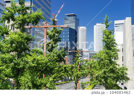 名古屋中区 都市風景 桜通の銀杏並木と名古屋駅ビル群 ニュータス 丸の内歩道橋から 名古屋中区 都市風景 桜通の銀杏並木と名古屋駅ビル群 ニュータス 丸の内歩道橋から 104085462