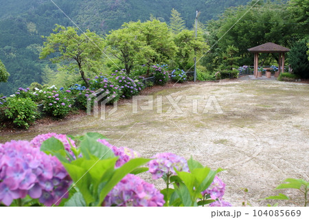 日ノ浦あじさい街道 イベント広場 (高知県 越知町) 日ノ浦あじさい街道 イベント広場 (高知県 越知町) 104085669