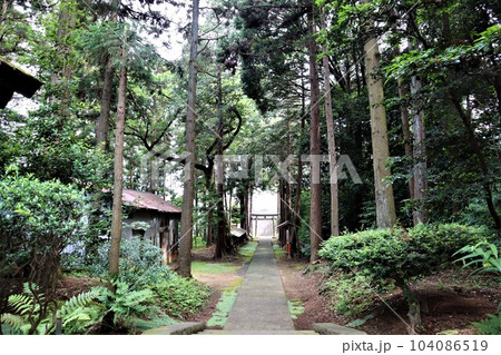 王子神社　参道（神奈川県横浜市戸塚区柏尾町） 104086519
